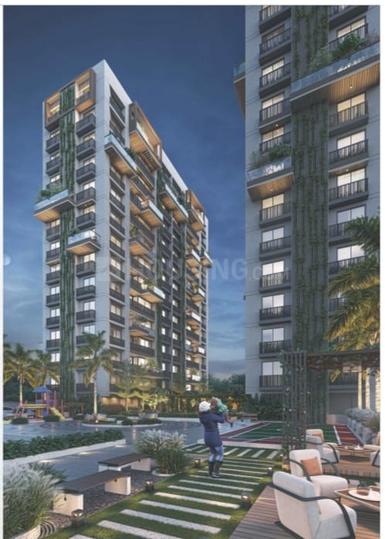 Primula Suryam Primrose Main Image 1