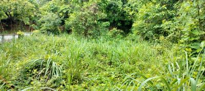 Image of 4356 Sq.ft Residential Plot / Land for sale in Velappaya, Killannur, Thrissur for Rs. 5750000