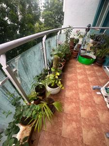 Balcony Image of 1250 Sq.ft 2.5 BHK Apartment / Flat for rent in Megapolis Sunway, Hinjawadi Phase 3 Pune for Rs. 32500