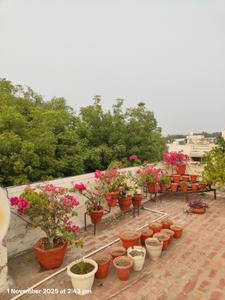 Image of 3762 Sq.ft Residential Plot / Land for sale in Sector 128, Noida for Rs. 200000000
