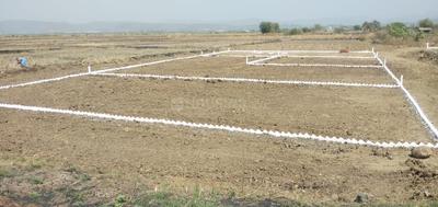 Chirner Plot View 1
