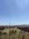 Power land yewalewadi Plot View 2