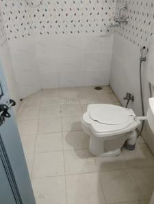 Bathroom Image of 1800 Sq.ft 3 BHK Apartment / Flat for rent in Bani Park Jaipur for Rs. 30000