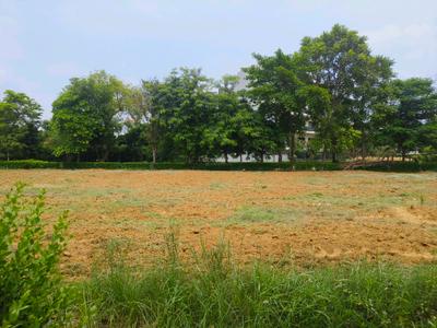 Image of 138 Sq.ft Residential Plot / Land for sale in M2K Olive Greens, Sector 104, Gurgaon for Rs. 28290000