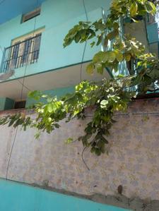 Image of 1380 Sq.ft 6 BHK Independent House for sale in Halasuru, Bengaluru for Rs. 53800000