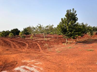Image of 4650 Sq.ft Residential Plot / Land for sale in Chevella, Hyderabad for Rs. 6100000