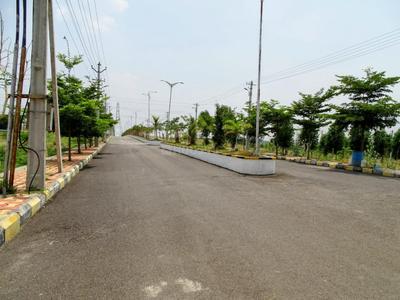 Lovern Main Image 1