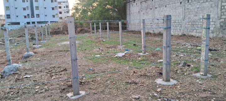 East Facing Residential Plot for Sale in Narasaraopet Main Image 1