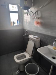 Bathroom Image of 450 Sq.ft 1 BHK Apartment / Flat for rent in ROF Amaltas, Sector 92 Gurgaon for Rs. 19900