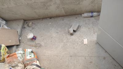 Image of 3051 Sq.ft 4 BHK Independent House for sale in Adajan Gam, Surat for Rs. 25000000