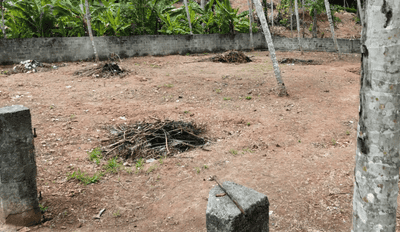 Image of 772 Sq.ft Residential Plot / Land for sale in Karakulam, Thiruvananthapuram for Rs. 12000000