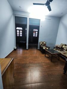 Hall Image of 650 Sq.ft 3 BHK Apartment / Flat for rent in Burari New Delhi for Rs. 12500
