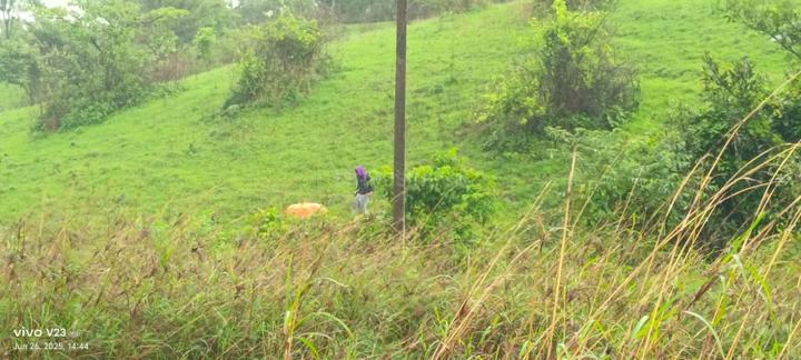Kune Village Main Image 1