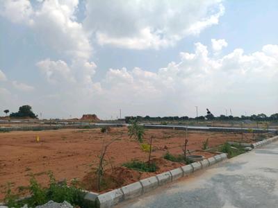 Shadnagar Plot View 2