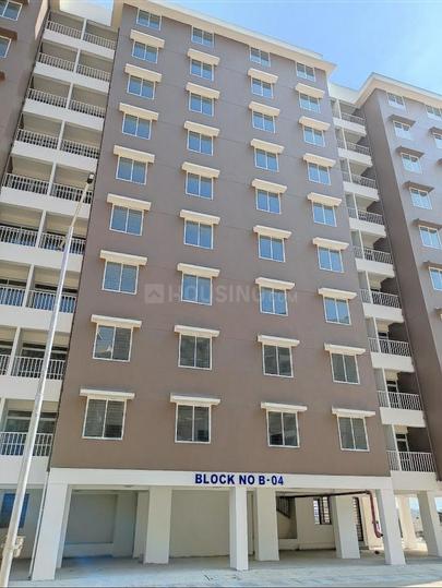 Bicholi Hapsi Main Image 1