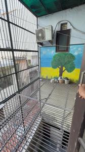 Balcony Image of 2925 Sq.ft 4 BHK Builder Floor for sale in Janakpuri New Delhi for Rs. 55000000
