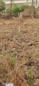 Navali Plot View 2