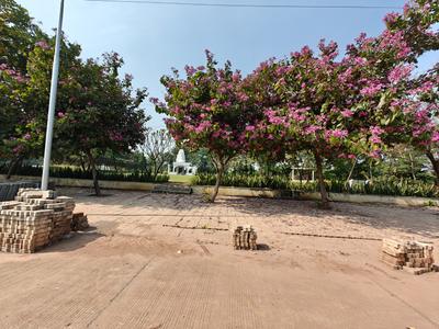Image of 1500 Sq.ft Residential Plot / Land for sale in Kingstown, Dunda, Raipur for Rs. 5700000