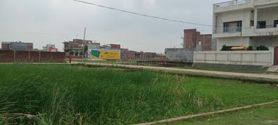 Kashi bhomi baraipur Plot View 2