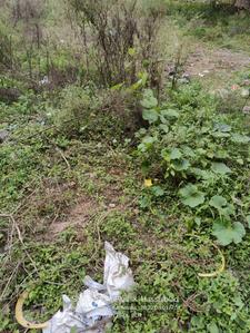 Image of 1200 Sq.ft Residential Plot / Land for sale in Vidyaranyapura, Bengaluru for Rs. 18100000
