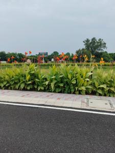 Image of 157 Sq.ft Residential Plot / Land for sale in Omaxe City, Sector 97, Faridabad for Rs. 22000000
