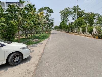 Block C Plot View 2