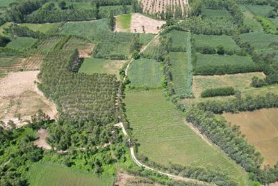 Image of 5050 Sq.ft Residential Plot / Land for sale in Biharigarh, Saharanpur for Rs. 12500000