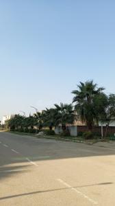 Image of 500 Sq.ft Residential Plot / Land for sale in Omaxe Phase 3 Mullanpur, New Chandigarh, Chandigarh for Rs. 39000000