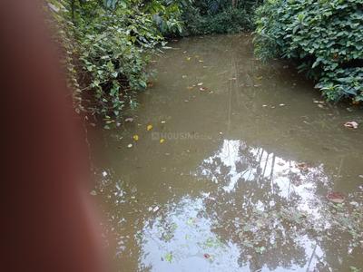 Image of 100000 Sq.ft Residential Plot / Land for sale in Koppa, Chikkamagaluru for Rs. 65000000