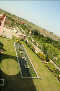 Image of 300 Sq.ft Residential Plot / Land for sale in JD Balaji Dream City, Dhingda, Ahmedabad for Rs. 3200000