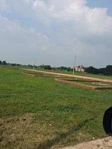 Barai Plot View 2