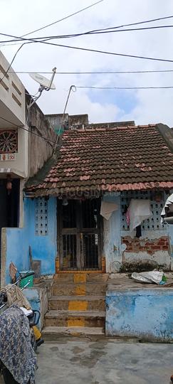 Santha Pet Main Image 1