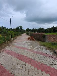 Nest Valley Internal Roads 1