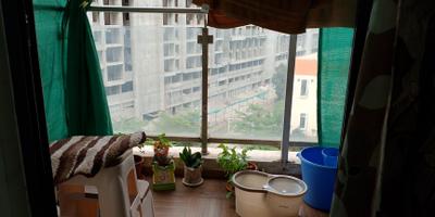 Balcony Image of 500 Sq.ft 1 BHK Apartment / Flat for sale in Gera Adara, Hinjawadi Phase 2 Pune for Rs. 5500000