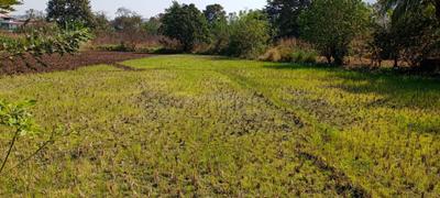 Image of 1089 Sq.ft Residential Plot / Land for sale in Dronagiri, Navi Mumbai for Rs. 720000
