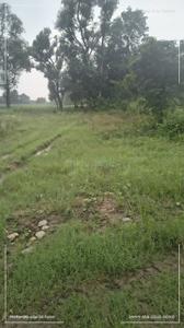 Image of 900 Sq.ft Residential Plot / Land for sale in Dharmawala, Dehradun for Rs. 3000000