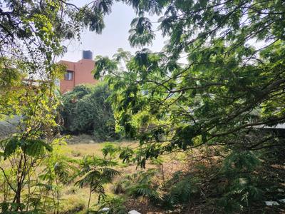 Akkarai Plot View 2