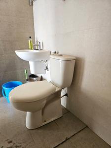 Common Bathroom Image of 1120 Sq.ft 2 BHK Apartment / Flat for sale in Gagan Adira, Wagholi Pune for Rs. 8700000