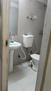 Bathroom Image of 530 Sq.ft 1 BHK Apartment / Flat for sale in Gaurs 14th Avenue, Noida Extension Greater Noida for Rs. 6000000