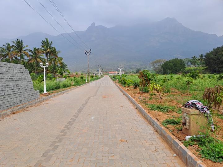 9148 Sqft Agricultural Land for Sale in Ettimadai, Coimbatore