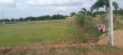 Kalinga Vihar Plot View 3