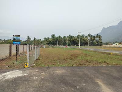 Residential Plot
