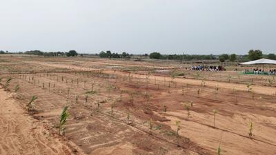 Image of 242 Sq.ft Residential Plot / Land for sale in Chinthapally, Nalgonda for Rs. 800000