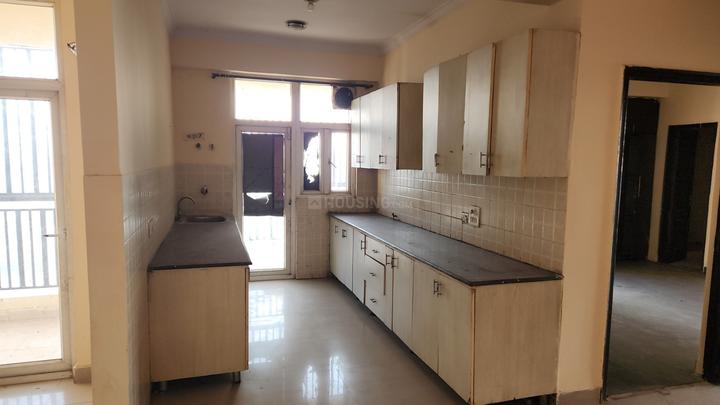 Saviour Greenisle Main Image 1