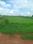 Image of 2200 Sq.ft Residential Plot / Land for sale in Sundarpada, Bhubaneswar  for Rs. 1600000