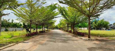 Residential Plot