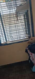 Balcony Image of 484 Sq.ft 2 BHK Apartment / Flat for sale in Kansad Surat for Rs. 1600000