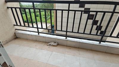 Balcony Image of 1090 Sq.ft 2 BHK Apartment / Flat for rent in Sunita Keshav Height Building C, Kalwa Thane for Rs. 39000