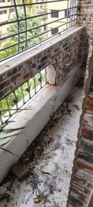 Balcony Image of 860 Sq.ft 3 BHK Apartment / Flat for sale in Airport Gate no. 1 Kolkata for Rs. 4200000