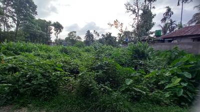Image of 4320 Sq.ft Residential Plot / Land for sale in Pelku, Siliguri for Rs. 7000000
